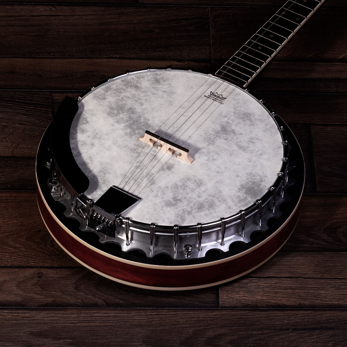 Perfect 5-String Banjo