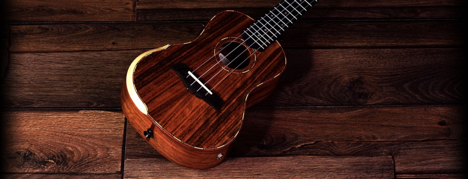 BMUK5CE Walnut Concert Ukulele - Electro