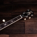 Albert 5-String Open Back Banjo 