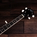 Perfect 5-String Banjo