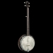 Perfect 5-String Banjo