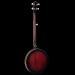 Perfect 5-String Banjo