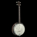 Perfect 4-String Tenor Banjo