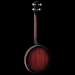 Perfect 4-String Tenor Banjo