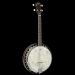Perfect 4-String Irish-Gaelic Tenor Banjo