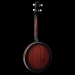 Perfect 4-String Irish-Gaelic Tenor Banjo