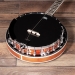 Rathbone 5-String Banjo - Electro