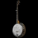 Empress 5-String Banjo