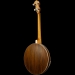 Empress 4-String Tenor Banjo