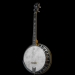 Empress 4-String Tenor Banjo