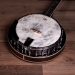 Empress 4-String Tenor Banjo
