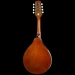 Wimborne A-Style Mandolin