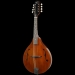 Wimborne A-Style Mandolin
