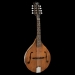 Wimborne A-Style Mandolin - Electro
