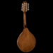 Wimborne A-Style Mandolin - Electro