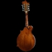 Salvino F-Style Mandolin