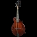 Salvino F-Style Mandolin