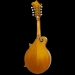 Piercy F-Style Mandolin