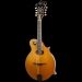 Piercy F-Style Mandolin