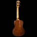 BMUK5CE Walnut Concert Ukulele - Electro