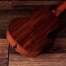 BMUK5CE Walnut Concert Ukulele - Electro