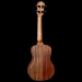BMUK7CE Koa Concert Ukulele - Electro