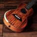 BMUK9T Spalt Maple Tenor Ukulele 