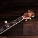 Empress 5-String Banjo