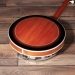 Rathbone 5-String Banjo - Electro