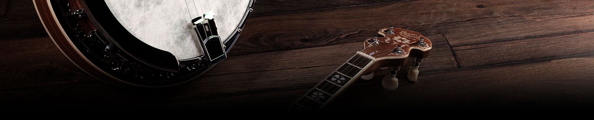 Banjo Anatomy banner