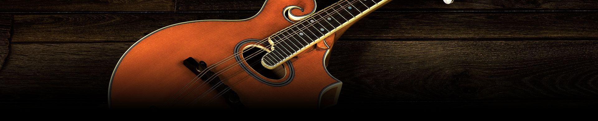 Mandolin Faqs Mandolin Faqs banner
