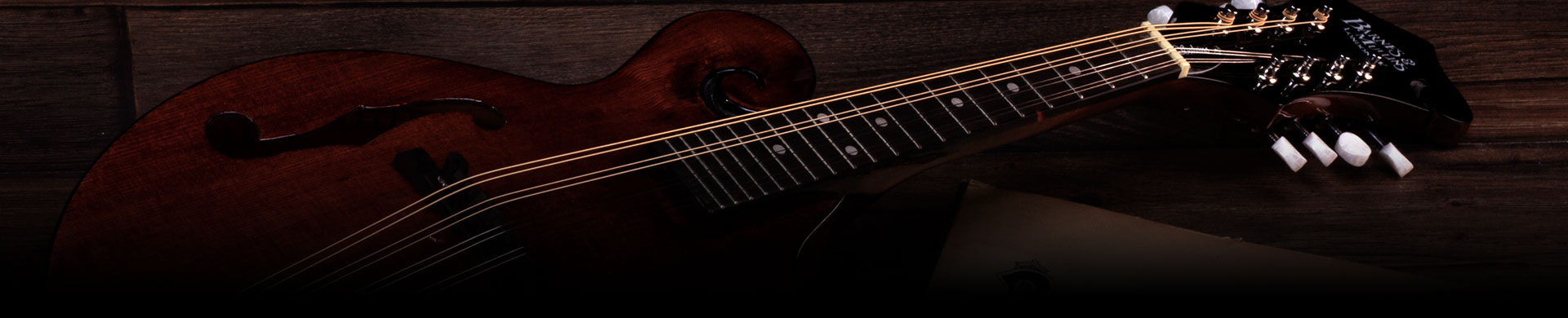 Mandolins Explained Mandolins Explained banner