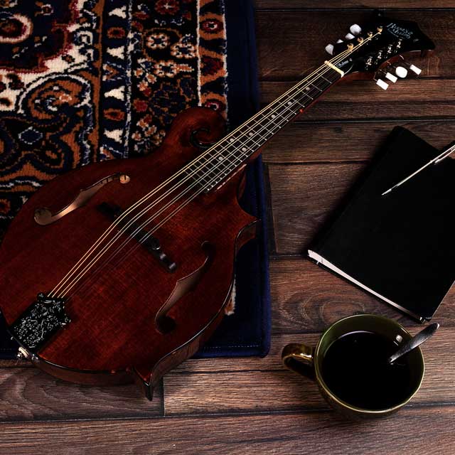 Is it easy to learn the mandolin?