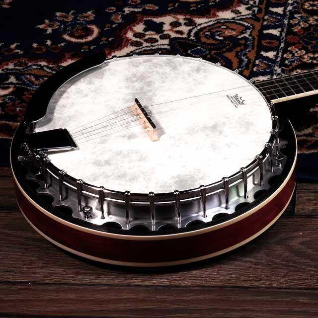 What are all the parts of a banjo called?
