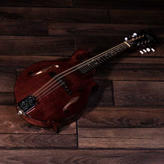What type of mandolin should I buy? 